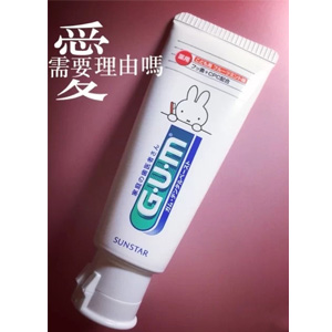 日本GUM 米菲专业儿童牙膏 水果味 70g