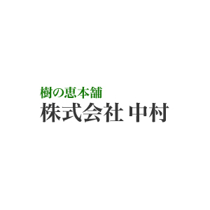 中村树之惠