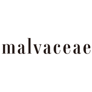 MALVACEAE