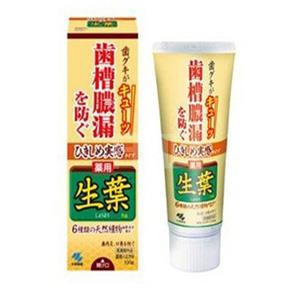 小林制药 齿槽浓漏 生叶牙膏 香草薄荷 100g