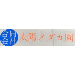 太阳MEDAKA园