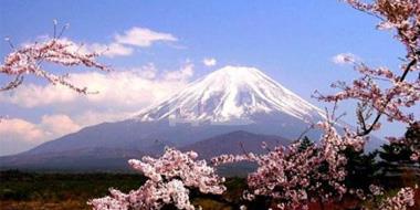 日本乐天国际市场樱花节满减促销来袭