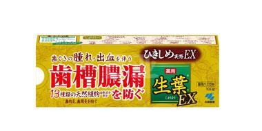 小林制药 生叶EX齿槽脓漏预防牙膏 香草薄荷味 100g