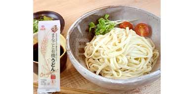 Hakubaku宝宝辅食无盐有机营养面300g*3袋