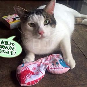 KIRIBAI 桐灰化学红豆蒸汽眼罩 限定版 可重复使用
