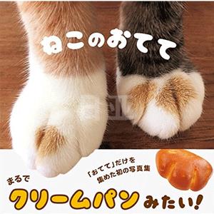 猫的小手写真集补货